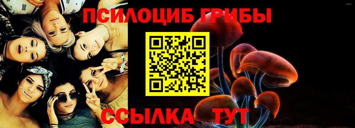 Псилоцибиновые грибы Psilocybine cubensis  Вход с VPN  Псилоцибиновые грибы мухоморы  Ефремов 